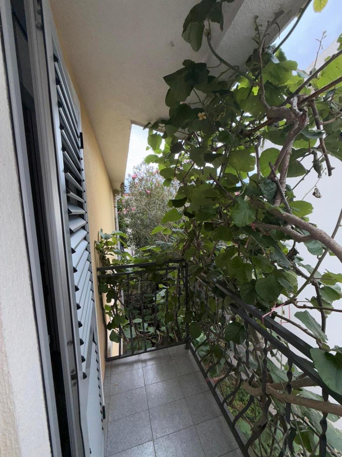 Apartment Stana Petrovac Bagian luar foto