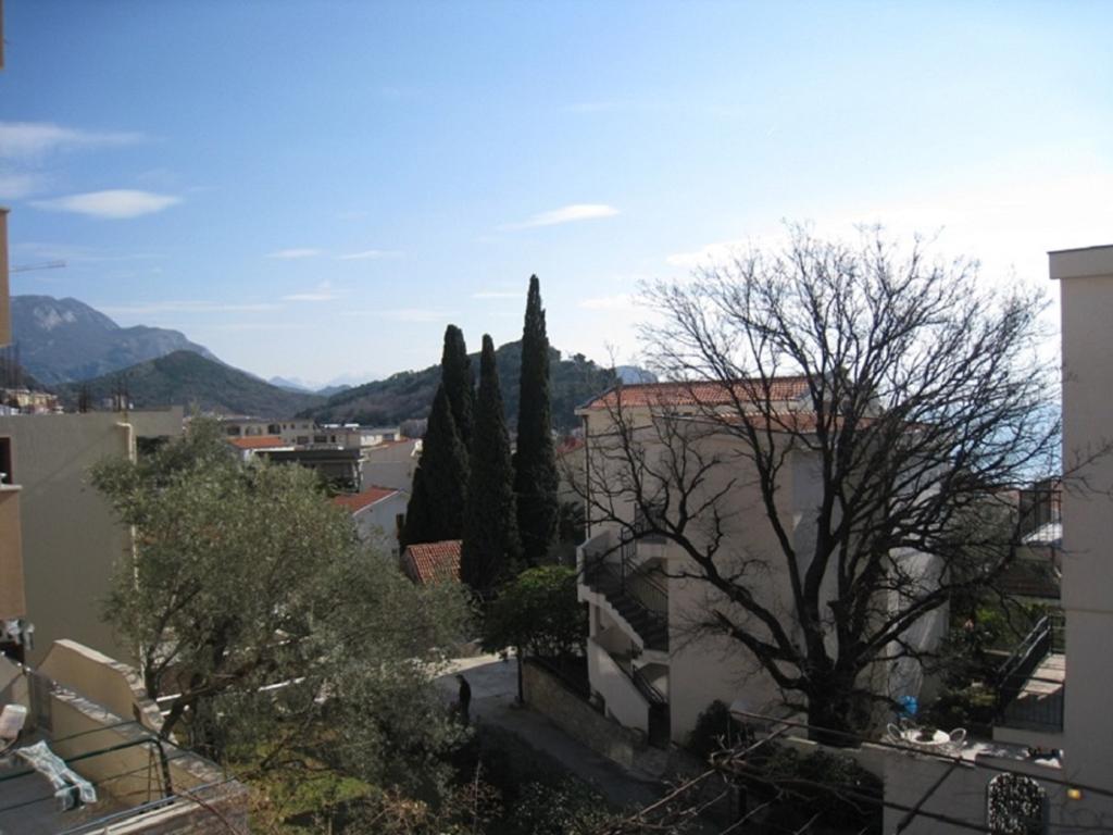 Apartment Stana Petrovac Bagian luar foto
